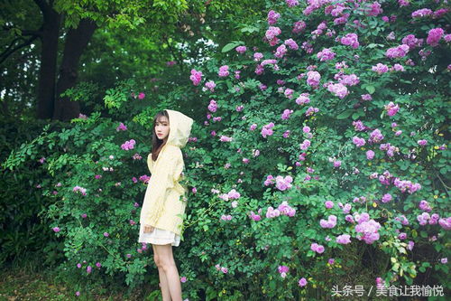 蔷薇：文学艺术中的多重人格化