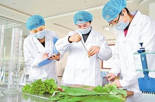 如何保证检测后来啊的准确性和可靠性