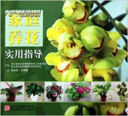 “家庭养花，数量宜少而精