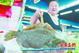 多宝鱼市场存疑，曾风靡一时