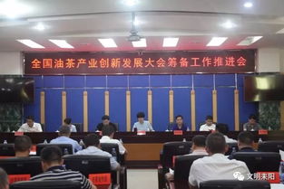 湖南启动“中国油茶科创谷”建设，推动地方茶叶产业升级