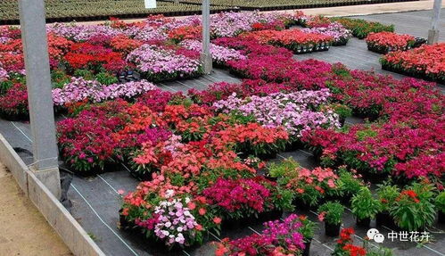 核心数据先拍这儿：