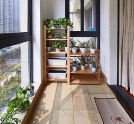 阳台无光，植物养护有妙招