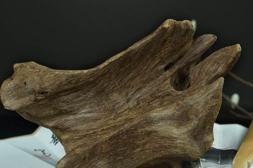 沉香手串：幽香四溢，修养尽显