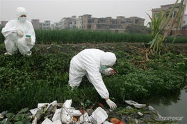 水体的悲剧：农药的生态影响