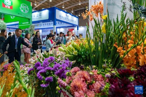 第二十一届中国昆明国际花卉展