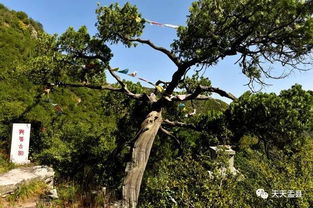 昭化古城的传说