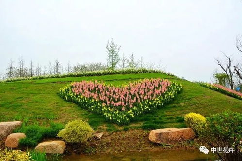 用途广泛，人人喜爱