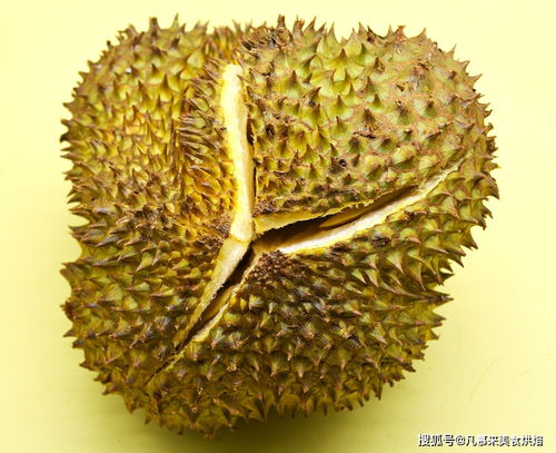 榴莲籽发芽后如何种植才能让它茁壮成长