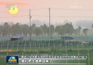 优化农业养殖成本，实现全面管控