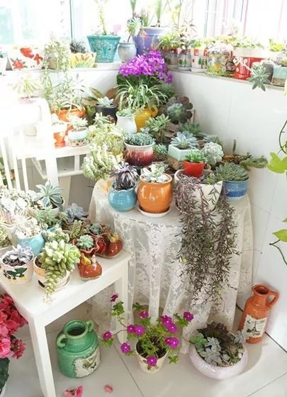 浇水玄学， 土方法大揭秘：