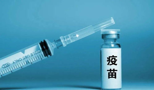 注意事项：混用需谨慎