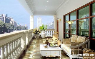 小空间大智慧：龟背竹的遮光魔法