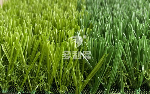 投票揭晓：你家小区草坪达标吗？