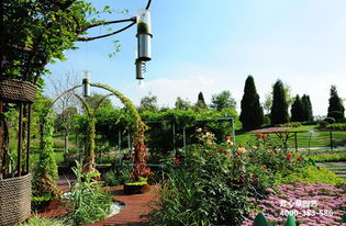 1. 完善植物养护管理技术措施