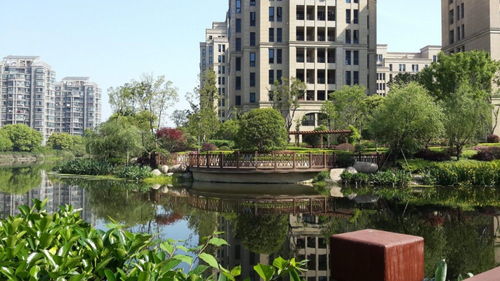 未来发展潜力大