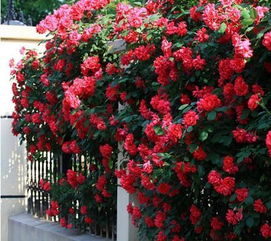 学生党的妙招， 饮料瓶的神奇作用