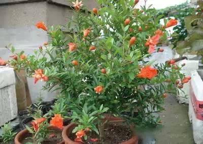 花也累，人也累