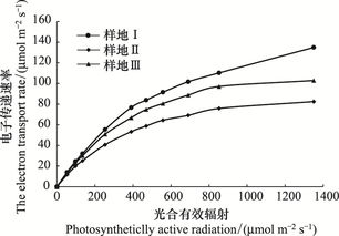 数据分析：计算光合作用效率