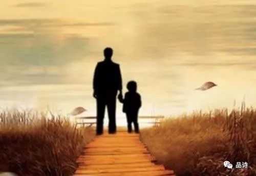 月季花开，感恩心浓