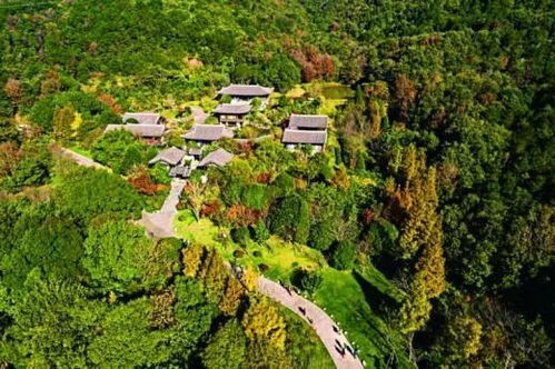 社区里的绿色小故事