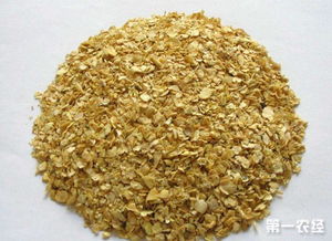 豆粕价格近期波动大，未来几个月内会持续上涨吗？