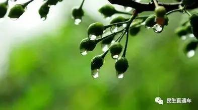 南方梅雨季节，避雨遮阳是关键