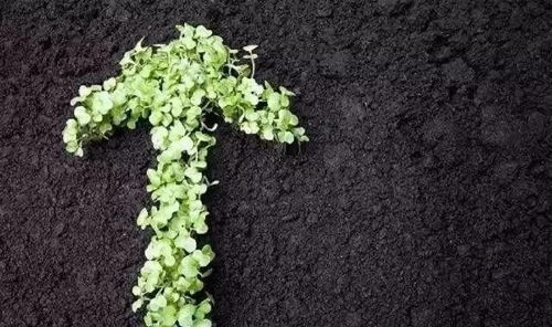 生长适温和土壤要求