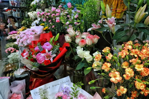 寻找那片属于自己的芬芳角落