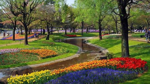 绿化养护：如何保持效果如初