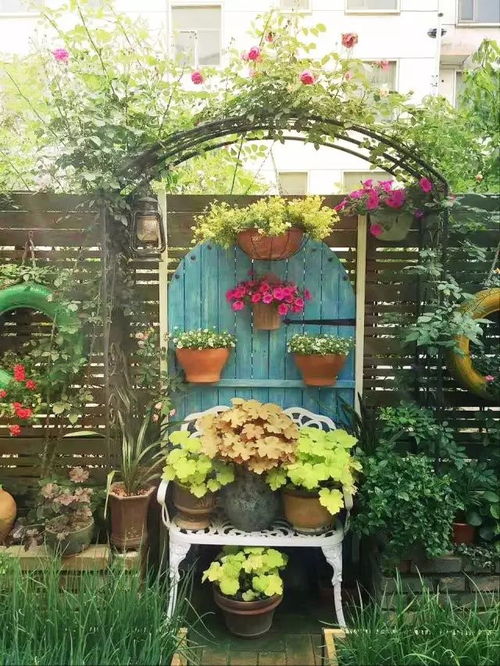 开花才会geng聚集