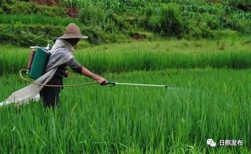 特殊情况的处理