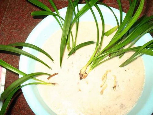 冷知识播报，你知道多少？