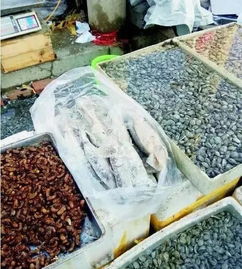 听说吃多了会怎么样？