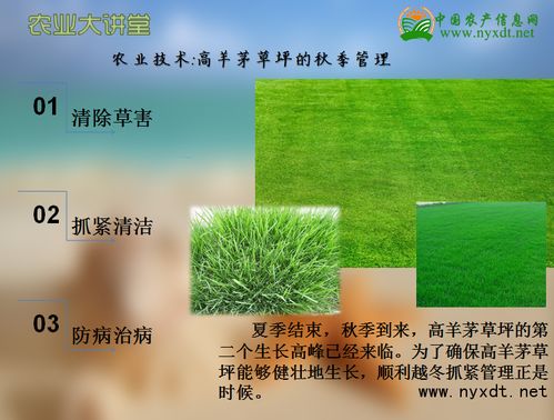 7天出苗，全靠这个绝招！