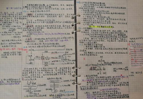 为什么饲料新手总在金卫东语录中寻找解决问题的答案？
