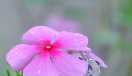 养护成本对照表