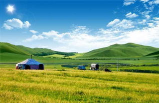 耐旱的勇士——干草原