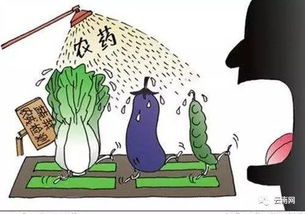 物理防护：玉米淀粉抗紫外线