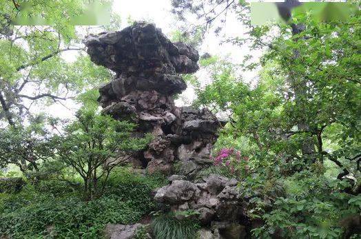 植物与园林：华夏血脉的流淌