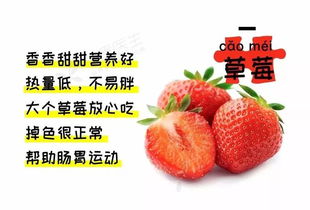 冬季水果，你选哪个