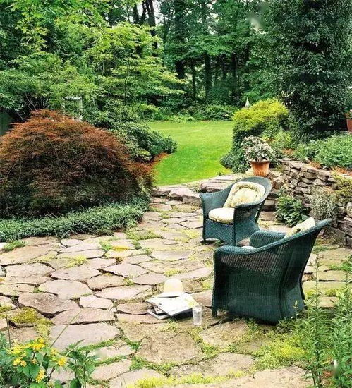 河南周口的老把式们有招绝的：旱柳条+紫花苜蓿混种