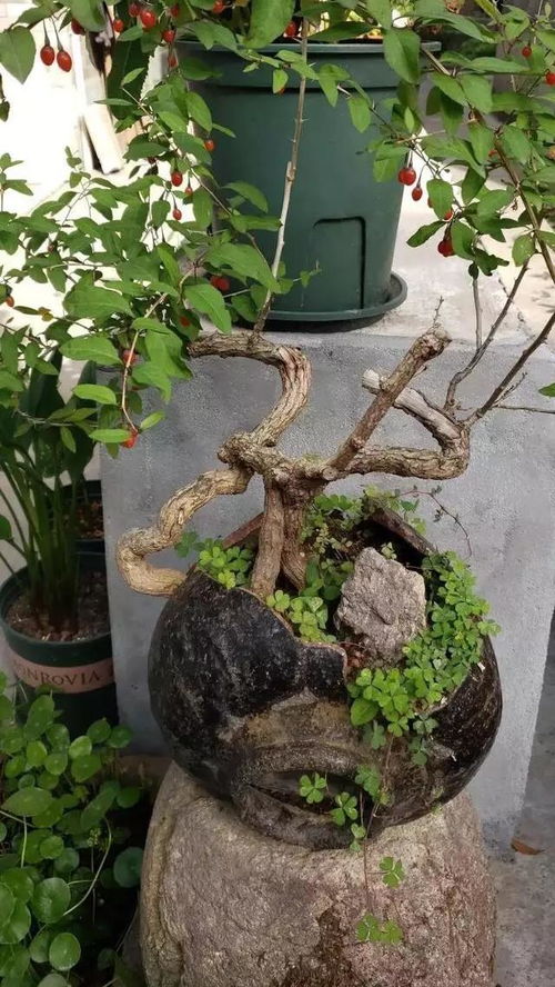 二、铺面材料：三层防护比棉被管用