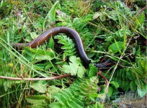 化学物质的危害