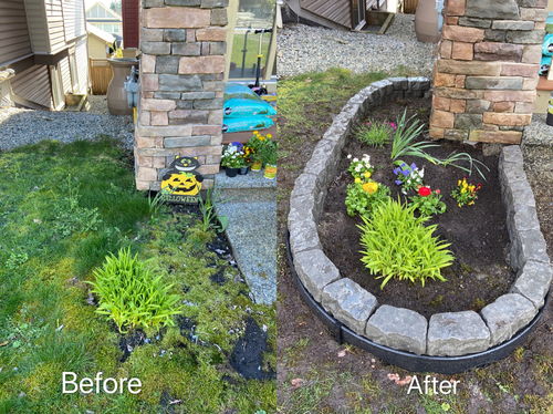 微景观小庭院：打造独特生活新方式