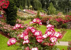 三、 义乌市花漾景观设计工作室