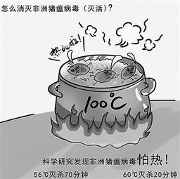 非洲猪瘟特点有哪些？如何有效防治