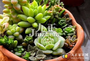 遮阳篇：避免阳光直射