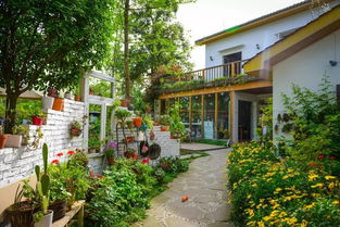 冬天也不失色的草种