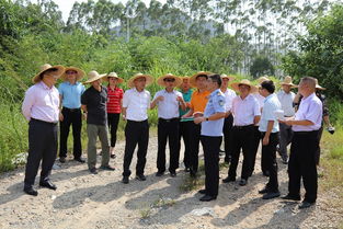 国家林草局亲临指导：我市油茶保险业务全面升级！